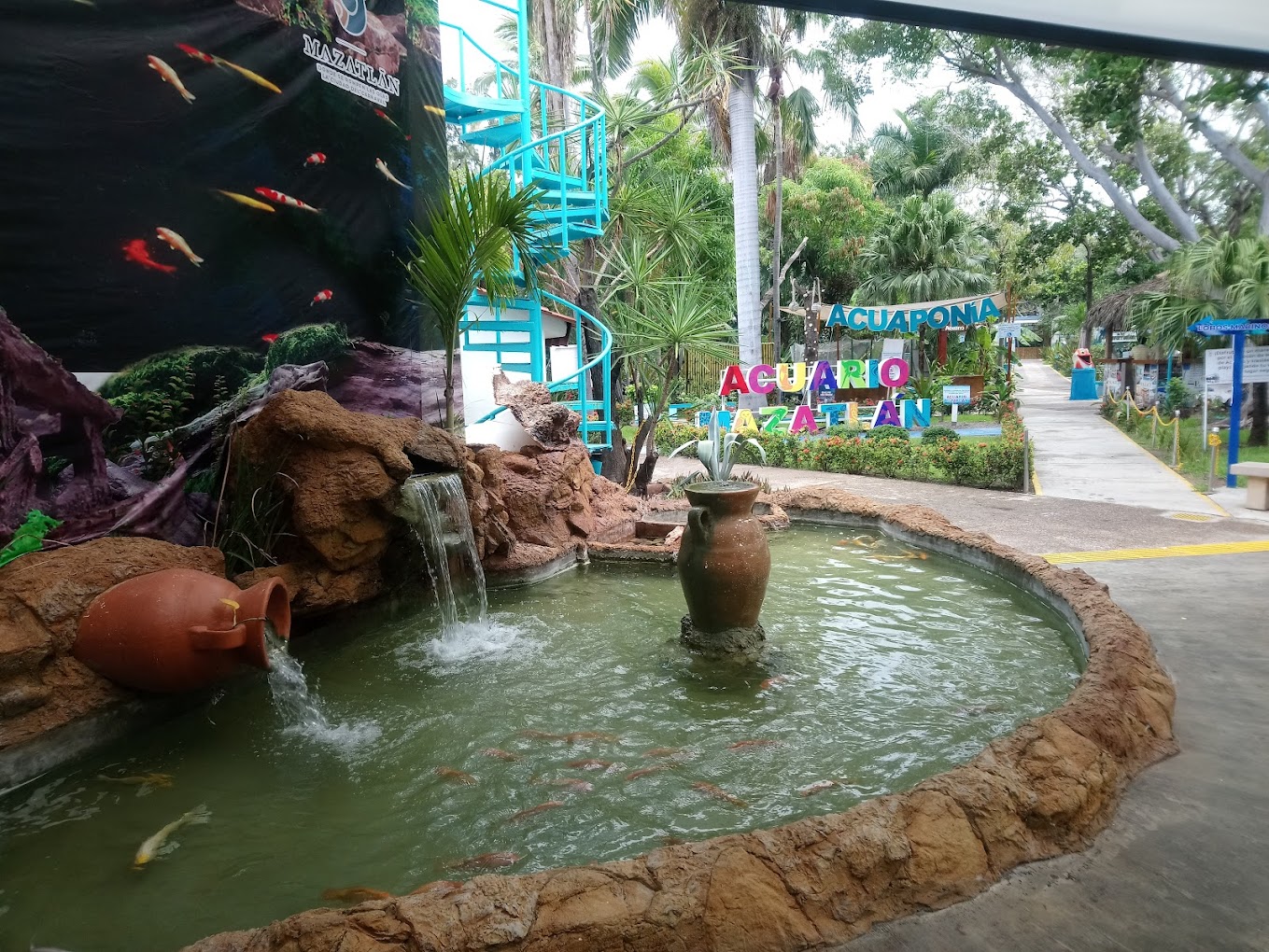 Gallery Thumbnail 11